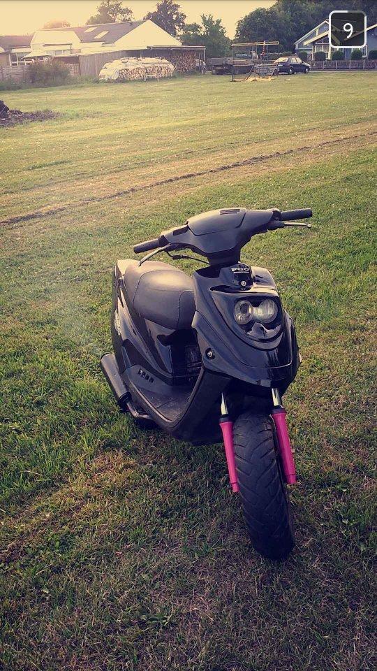 PGO Hot 50 billede 2