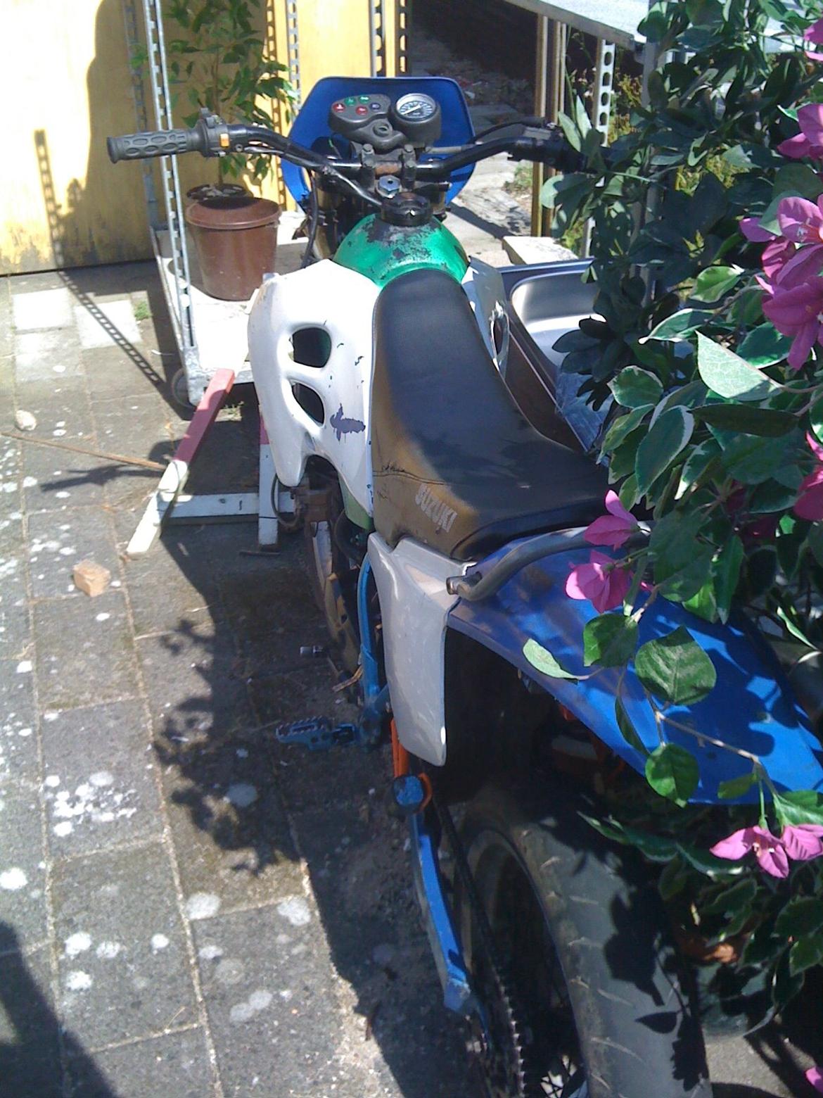 Suzuki SMX billede 2