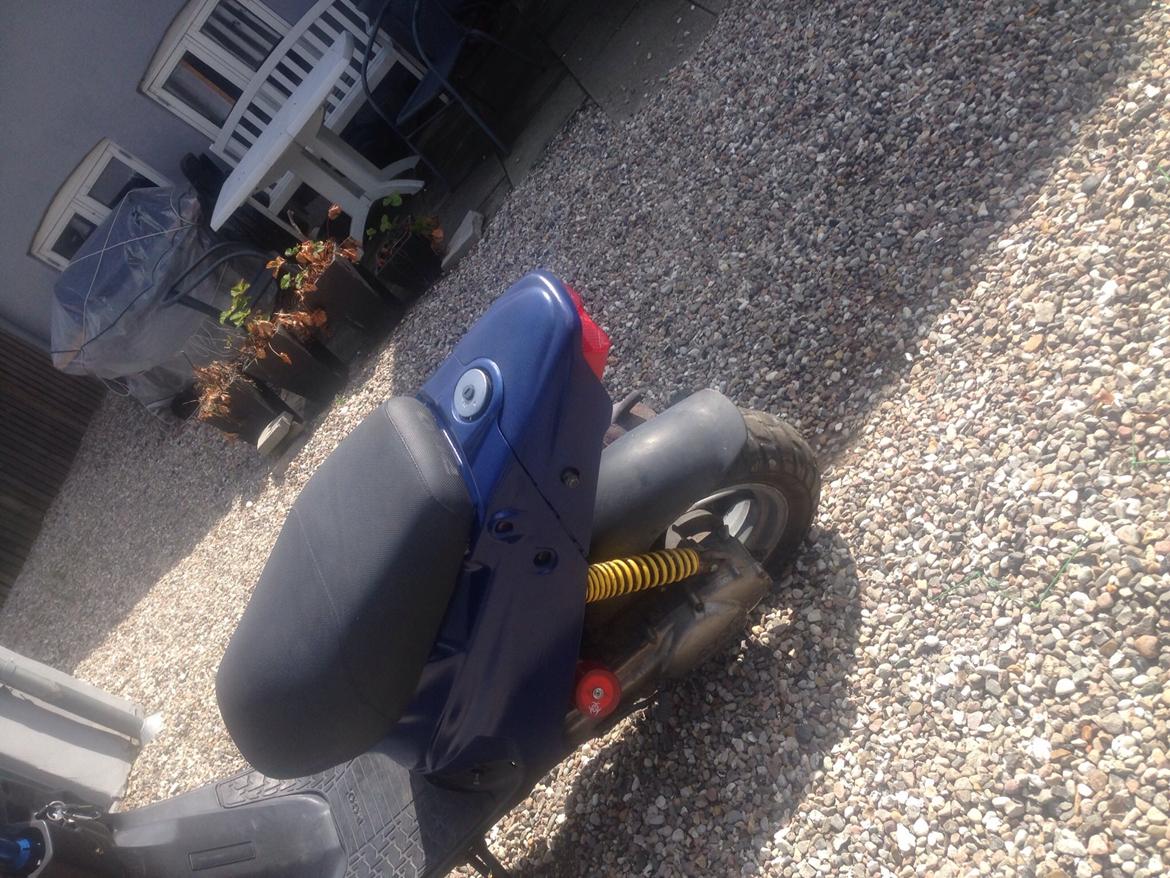 PGO Tornado billede 4