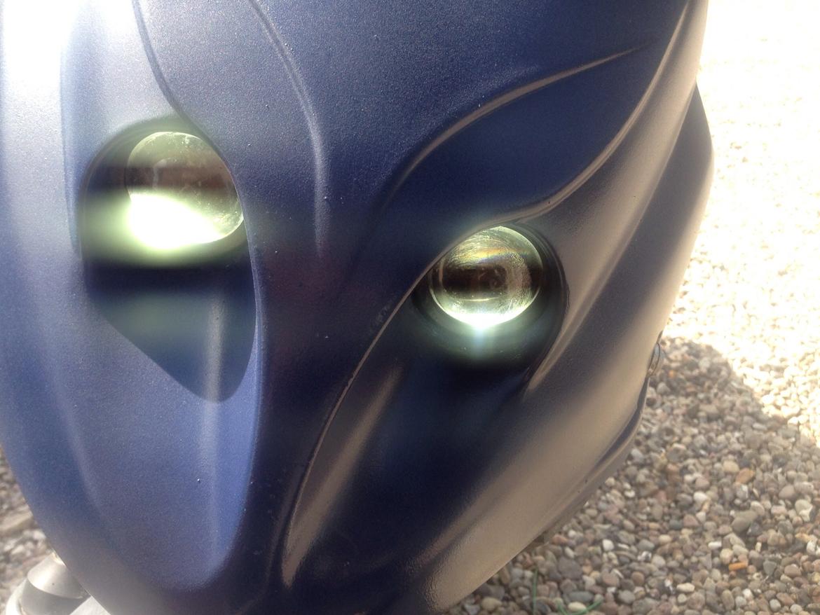 PGO Tornado billede 6