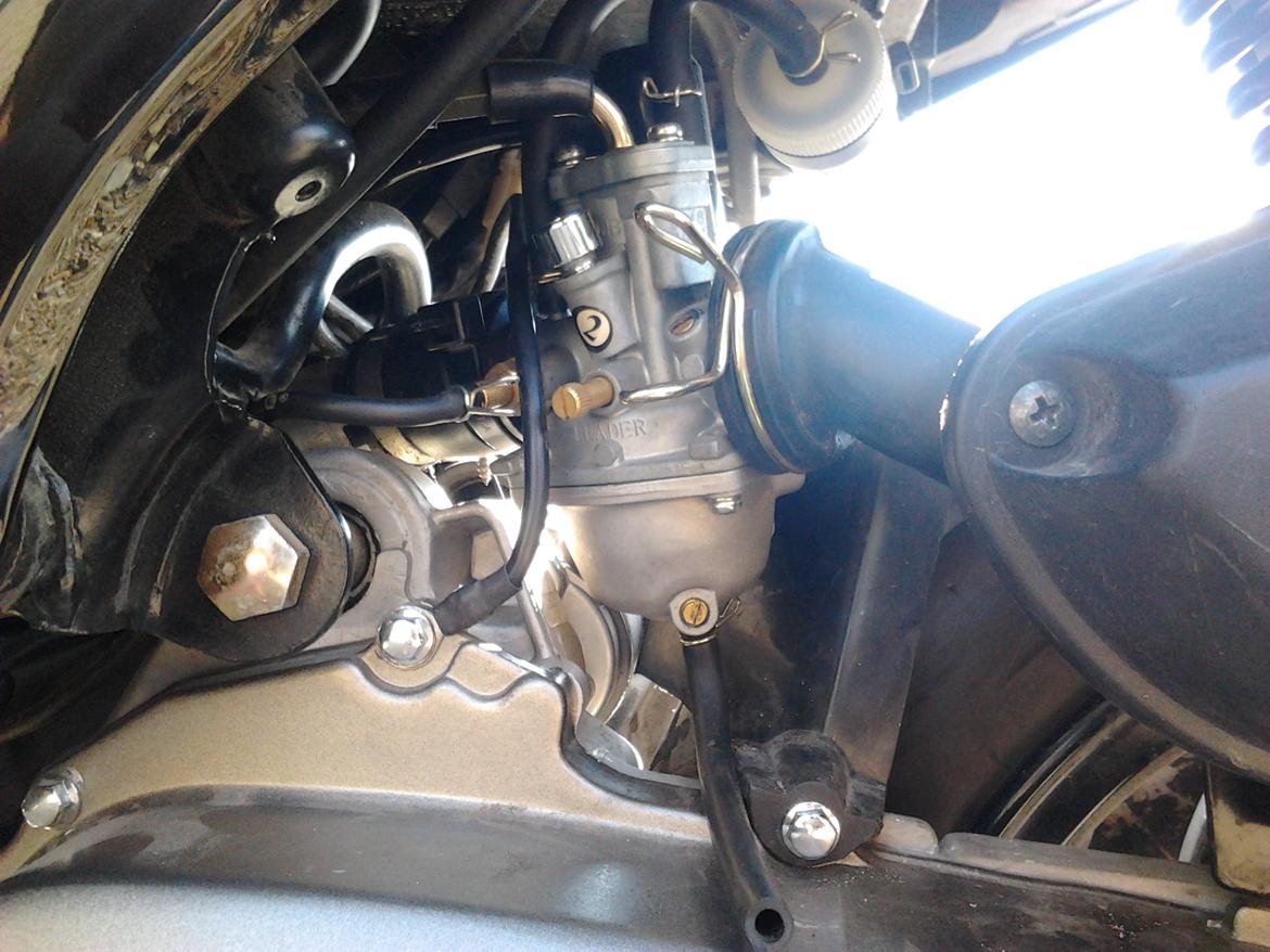 Leone Swan billede 2