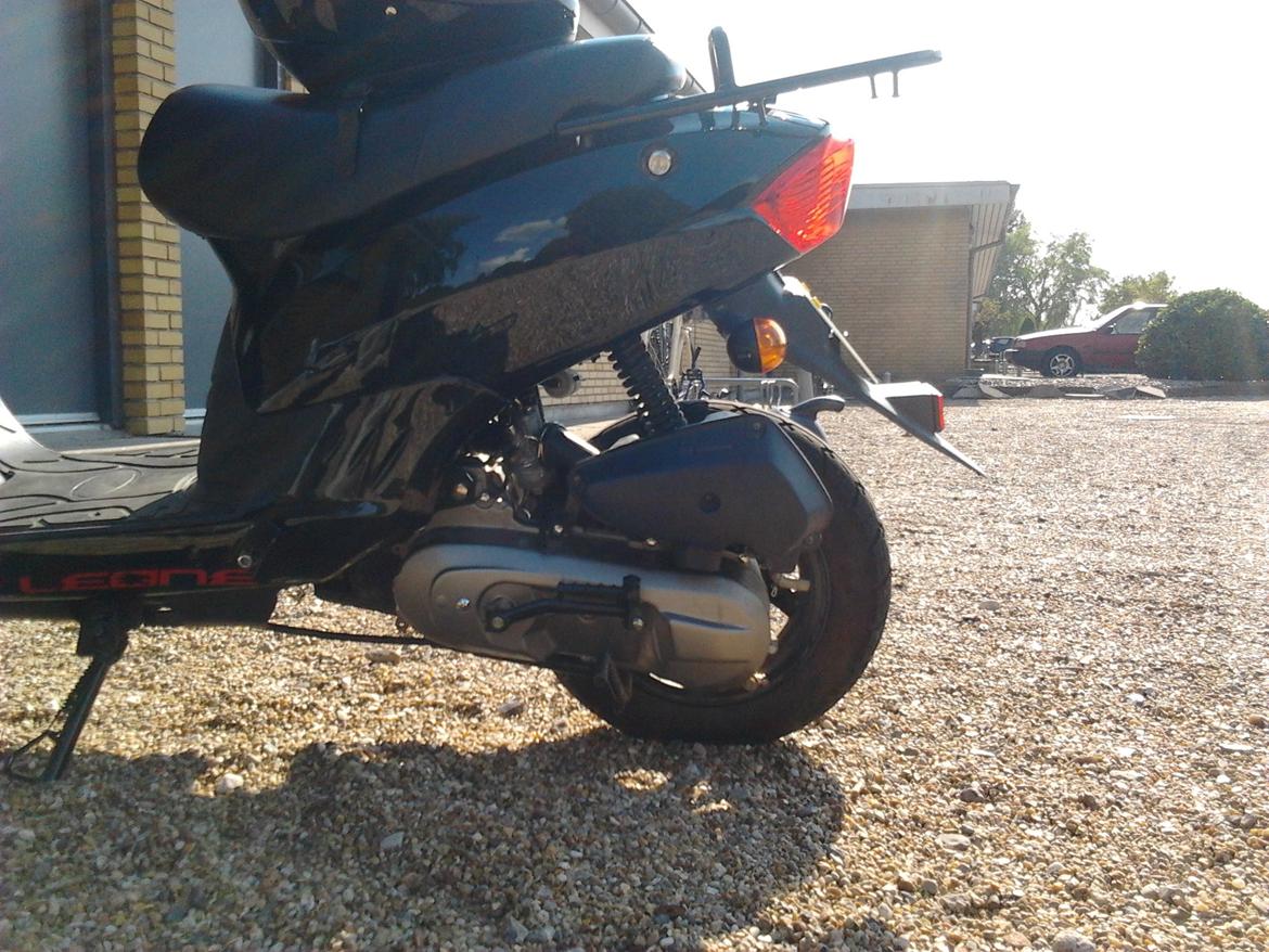 Leone Swan billede 3