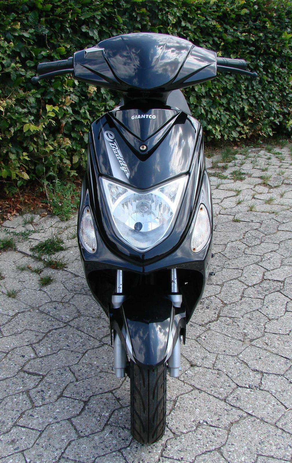 Giantco E-Buddy billede 4