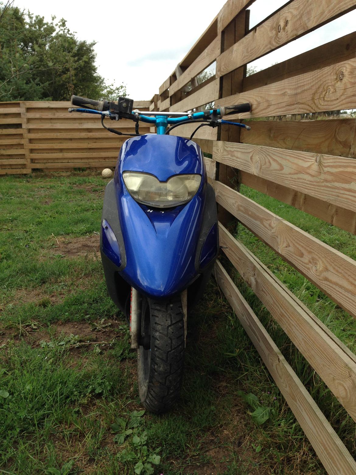 Honda SFX "Solgt" billede 5