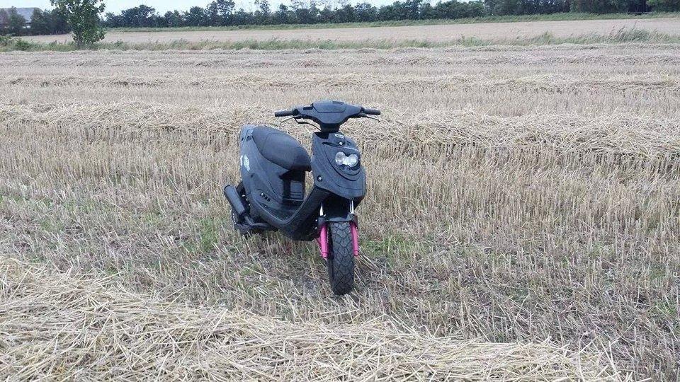 PGO Hot 50 billede 9