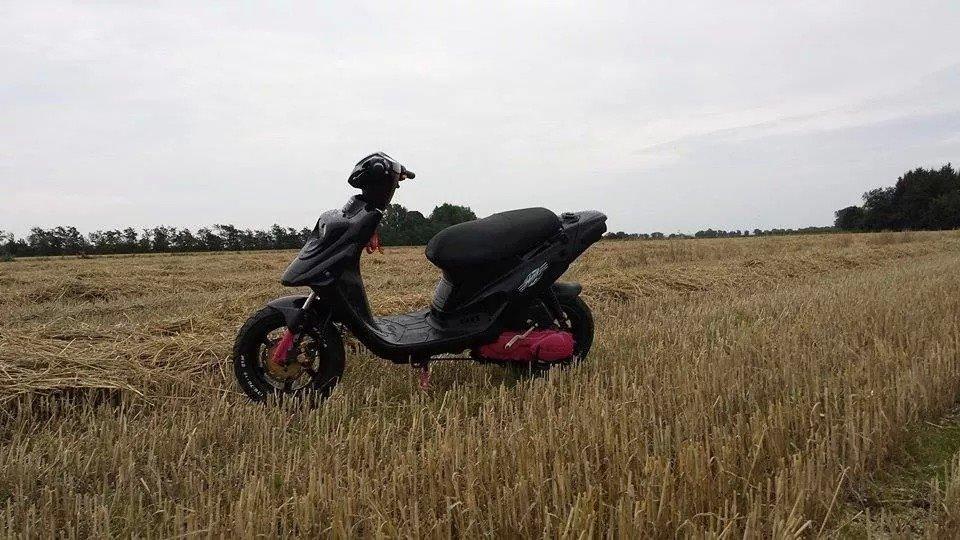 PGO Hot 50 billede 12