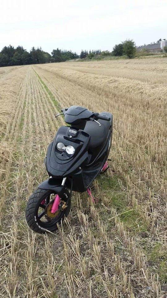 PGO Hot 50 billede 14