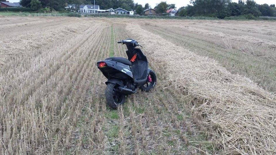 PGO Hot 50 billede 8