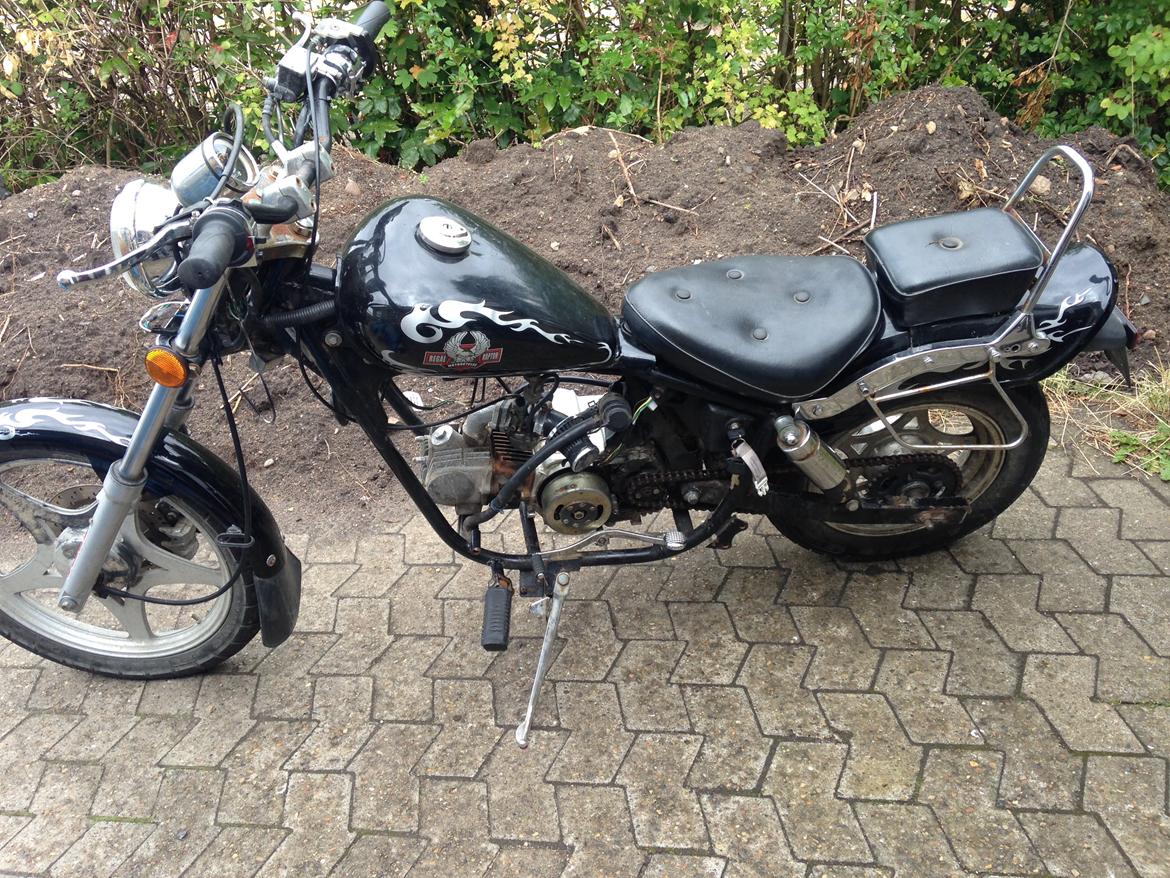 Regal Regal Raptor billede 1