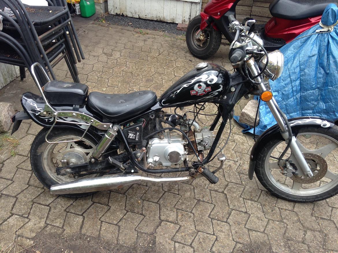 Regal Regal Raptor billede 3