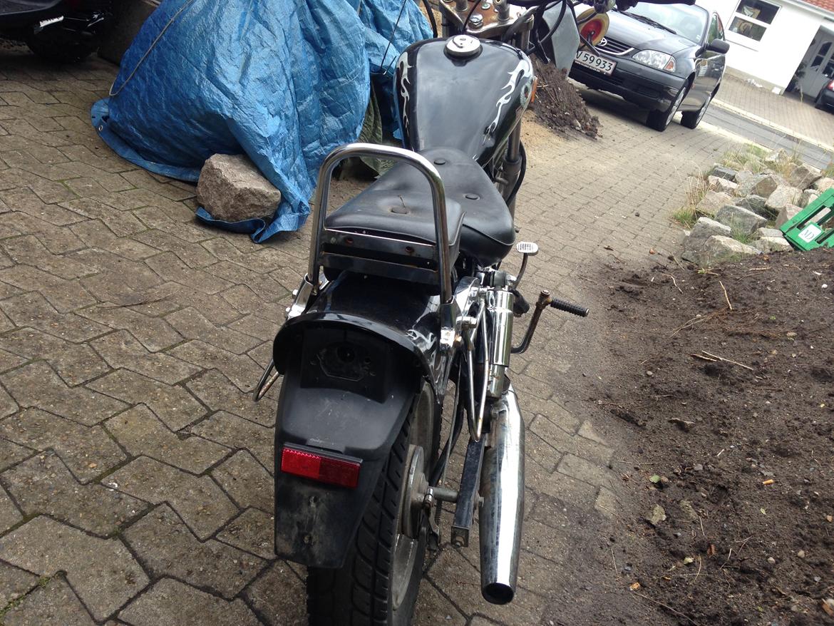 Regal Regal Raptor billede 4