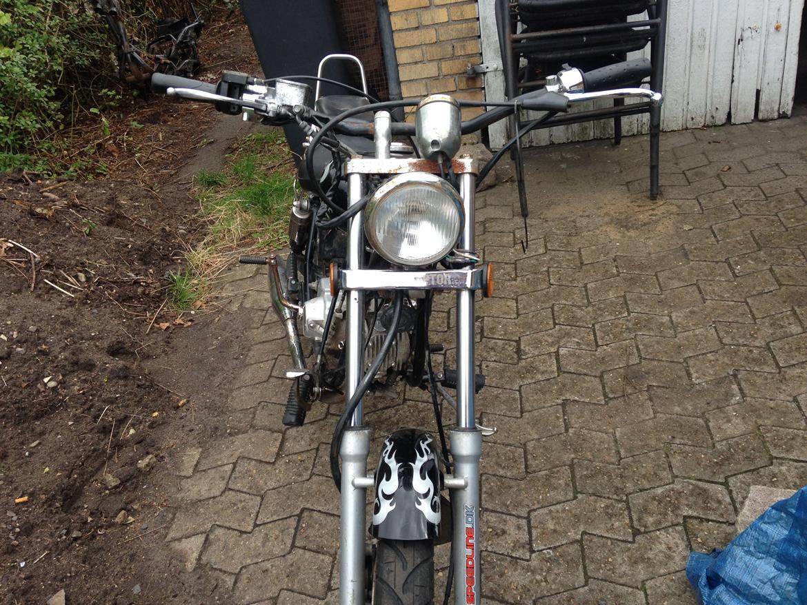 Regal Regal Raptor billede 2