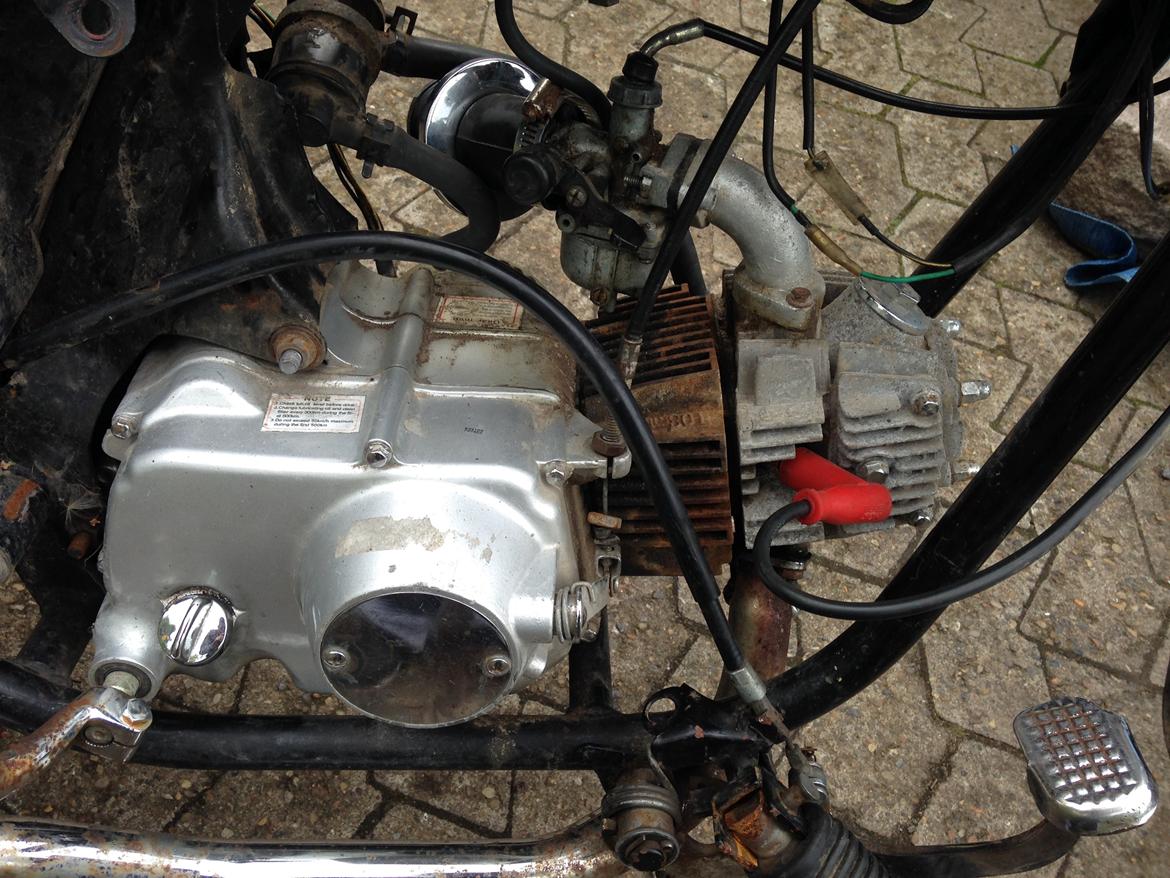 Regal Regal Raptor billede 6