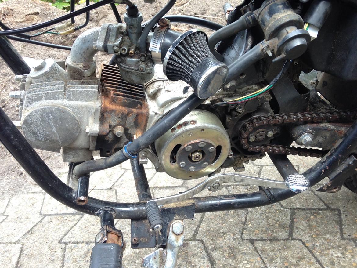 Regal Regal Raptor billede 7