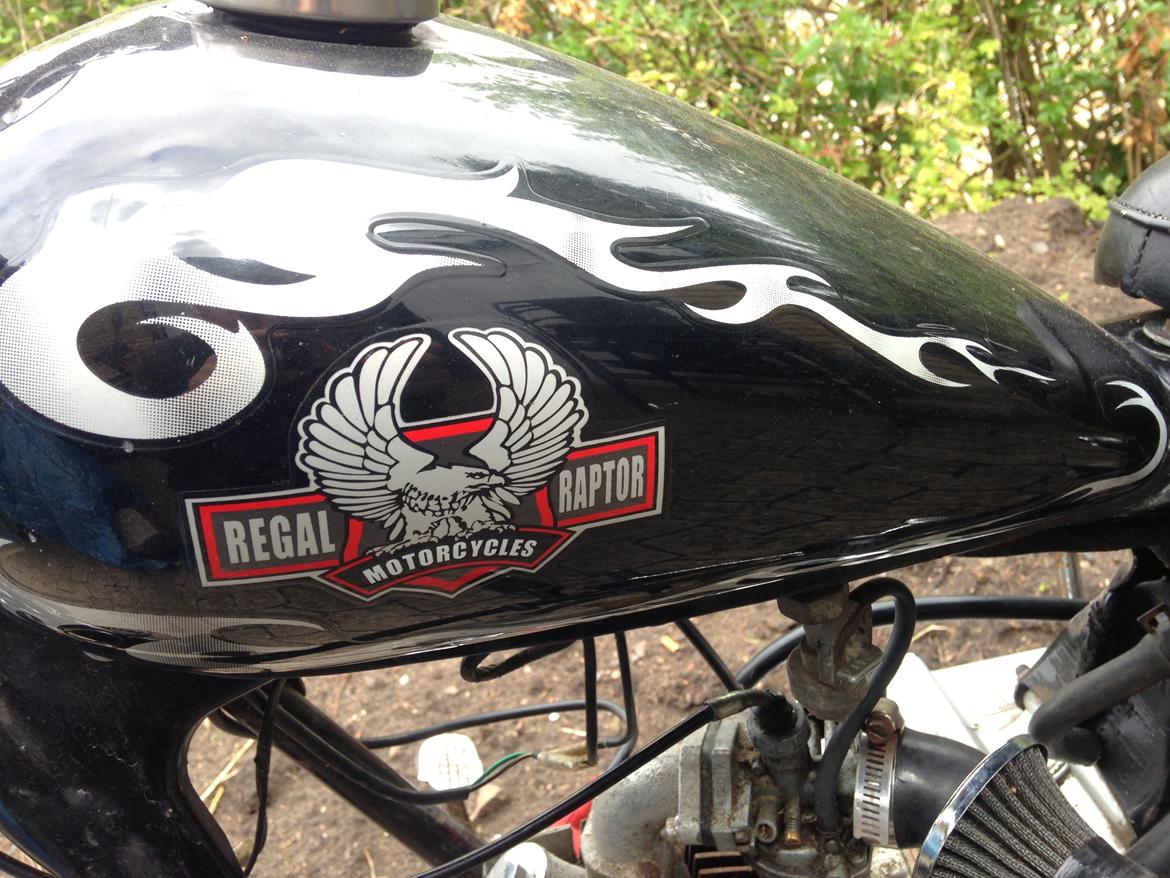 Regal Regal Raptor billede 8