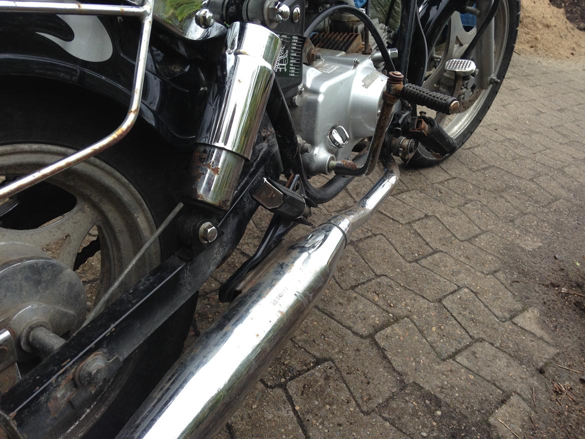 Regal Regal Raptor billede 5