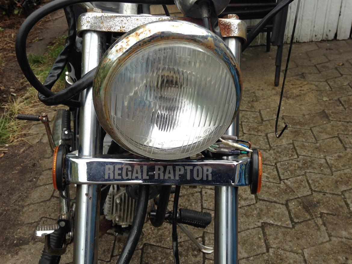 Regal Regal Raptor billede 10