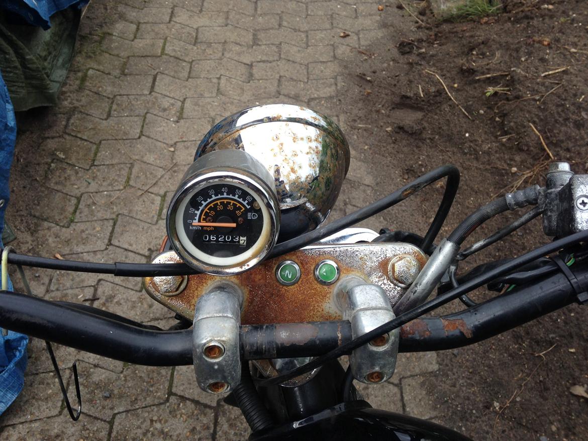 Regal Regal Raptor billede 9