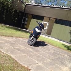 Honda Sfx "hverdags jern"