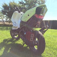 Peugeot Speedfight 2 stage6