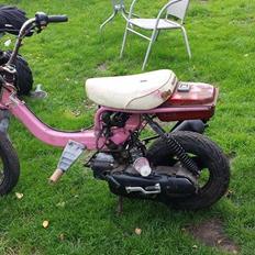 Suzuki Fz - 50. skilt af og pakket væk.