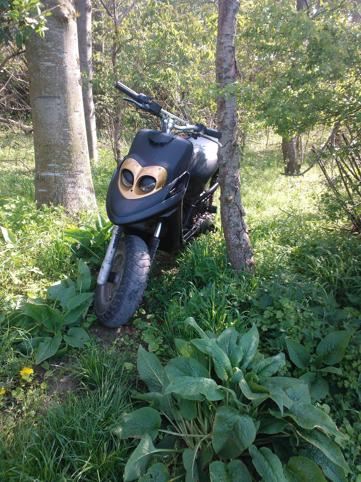 Yamaha bws ng billede 6