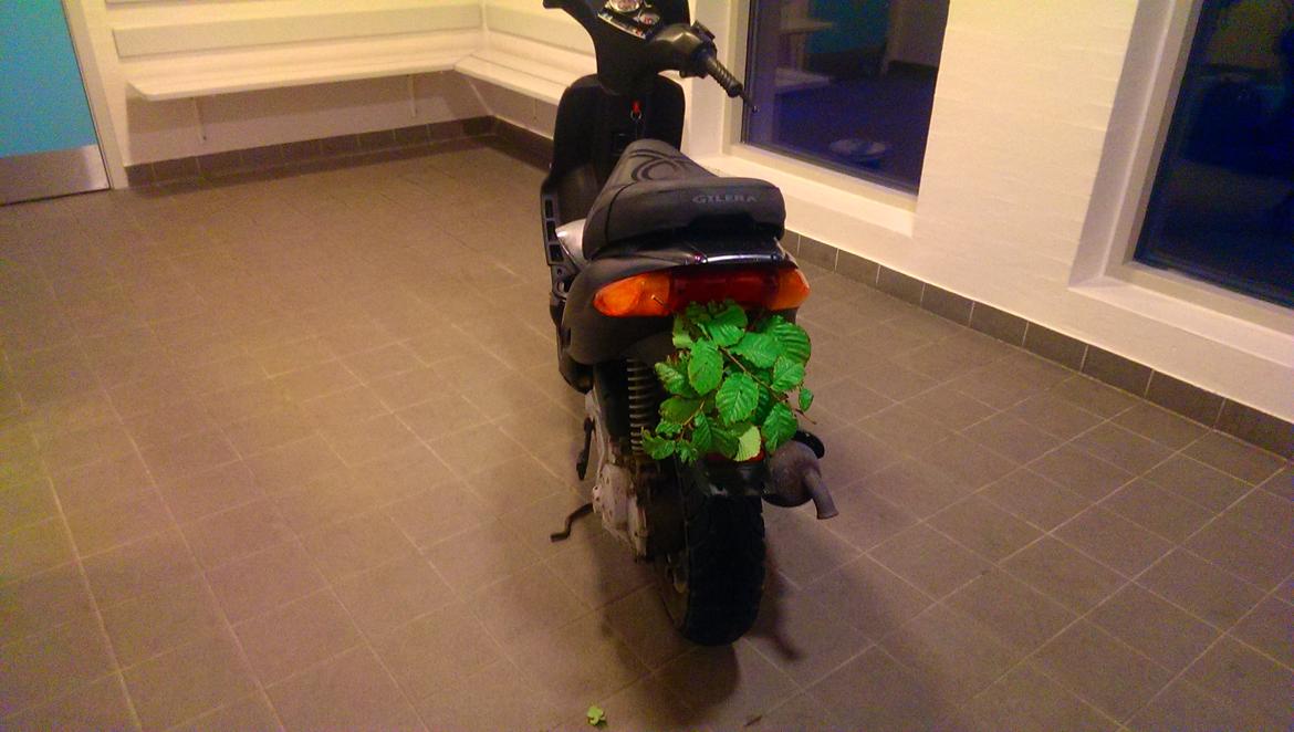 Gilera Stalker billede 2