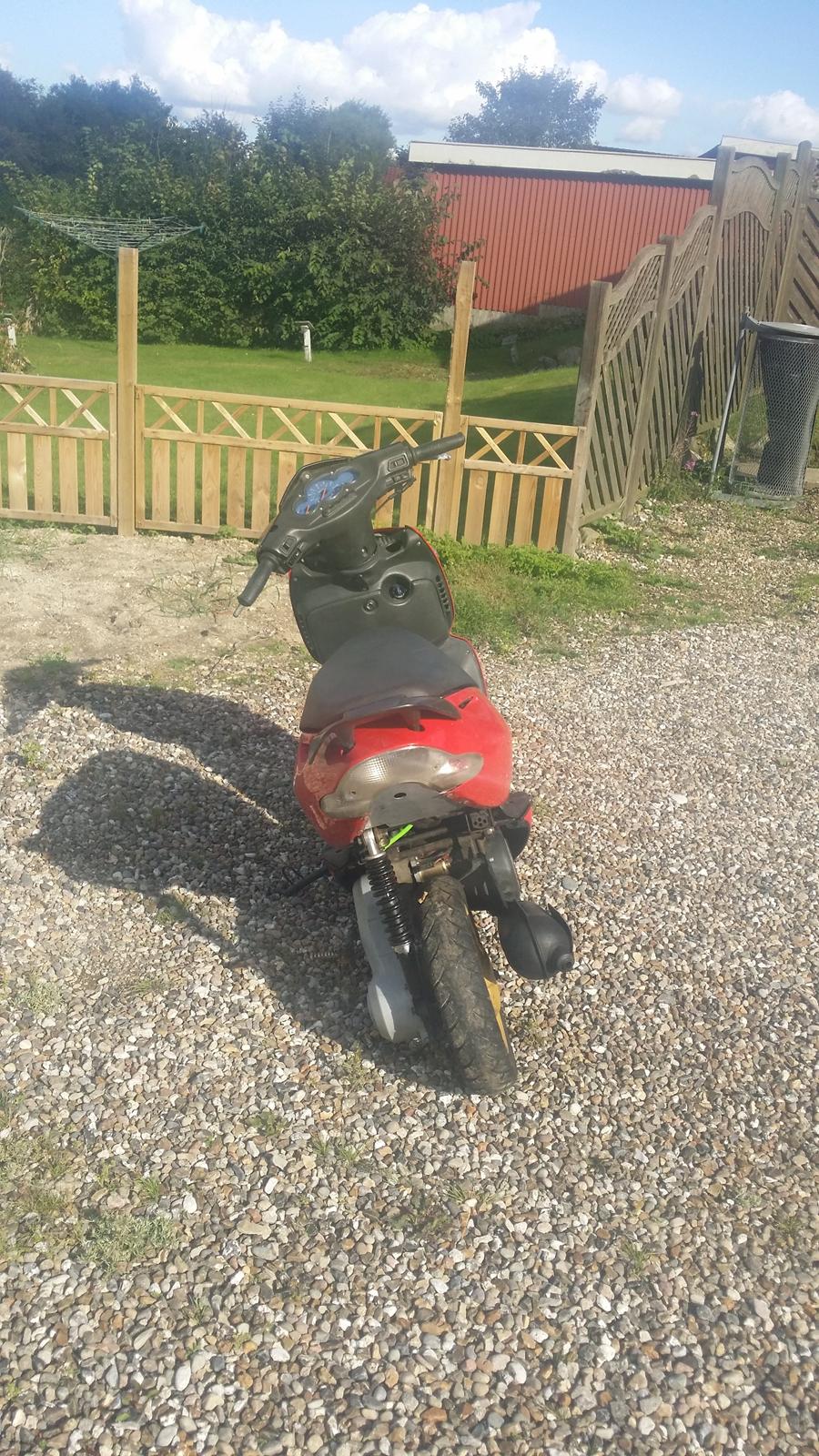 Aprilia Sonic Gp (Red Lion) billede 6