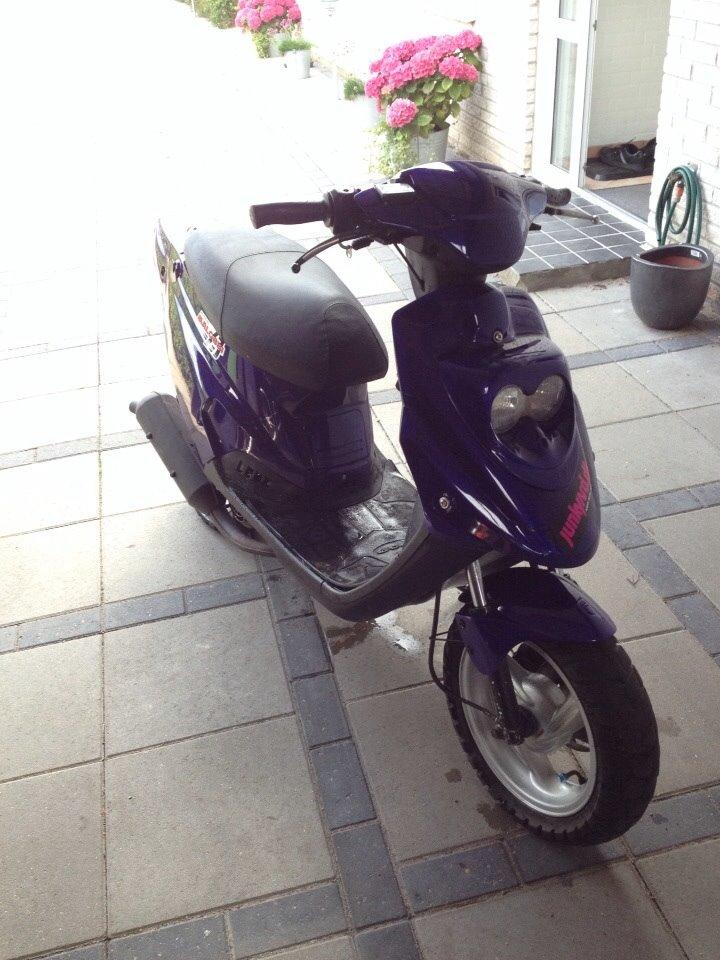 PGO Hot 50 billede 1