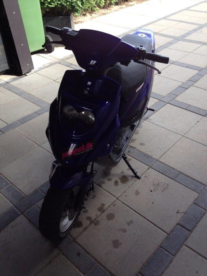 PGO Hot 50 billede 2