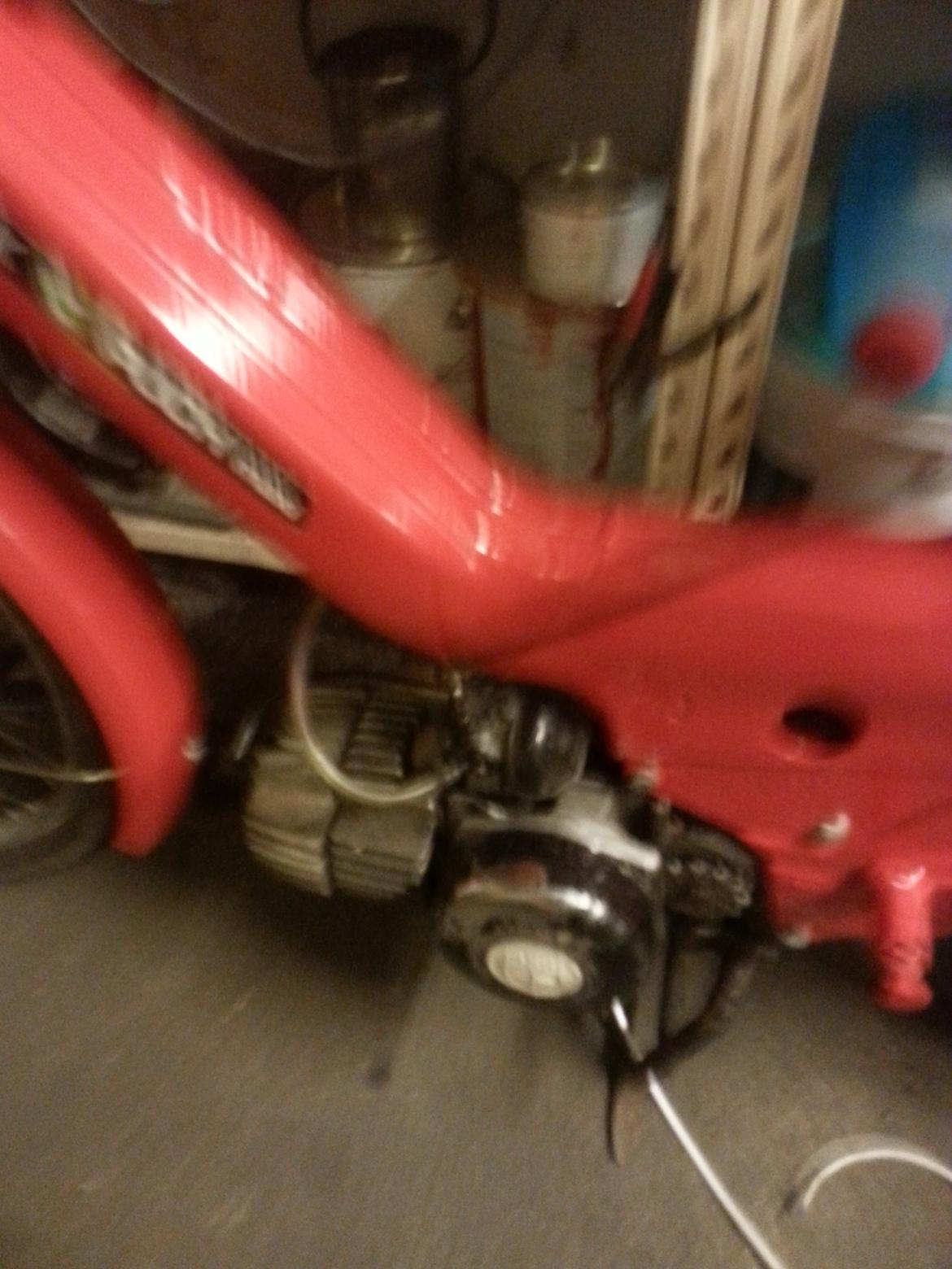 Puch Maxi k billede 16