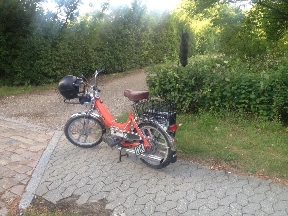 Puch maxi billede 13