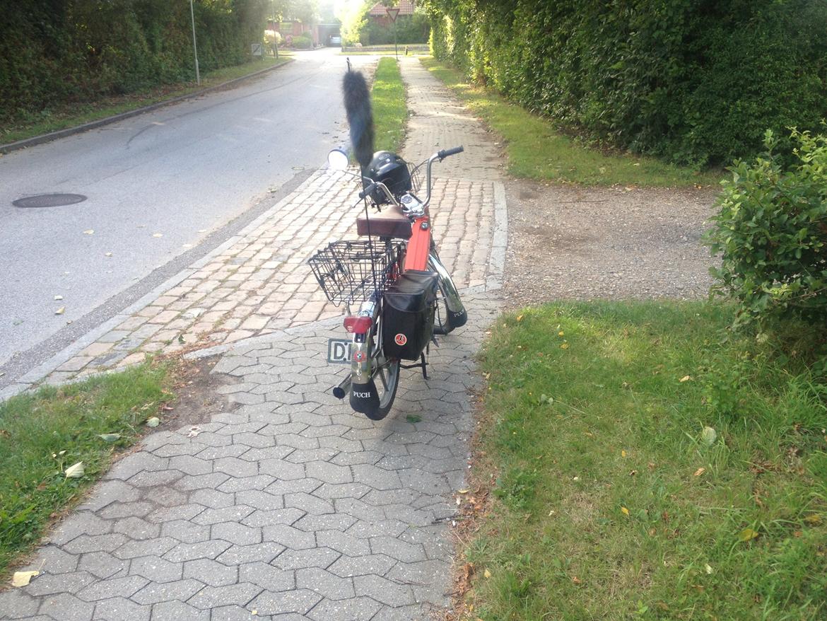 Puch maxi billede 14