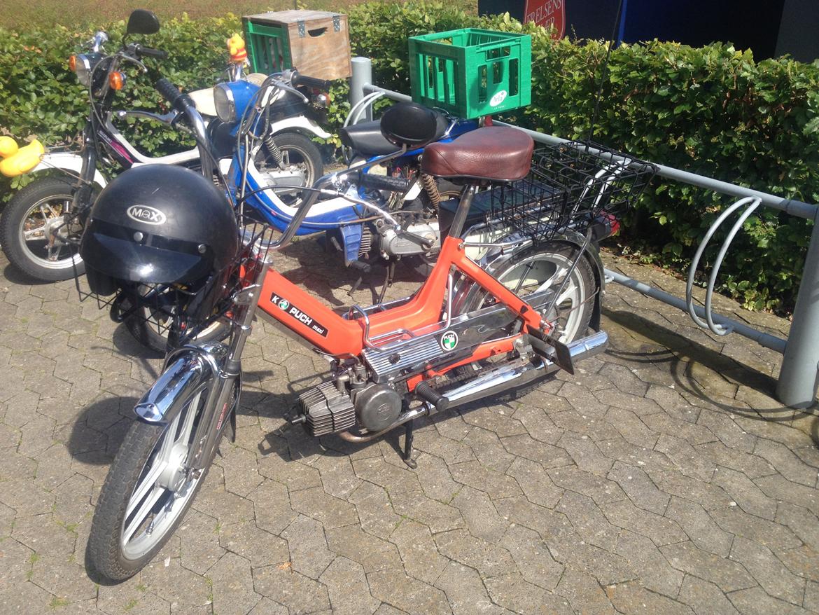 Puch maxi billede 16