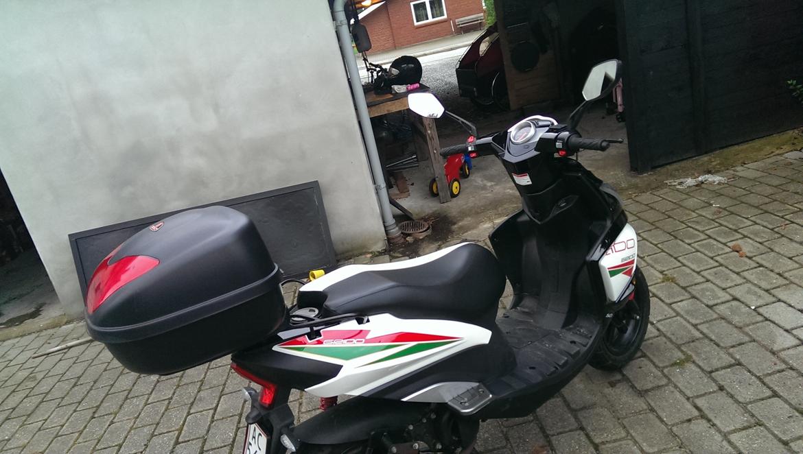 VGA Grido Italy billede 3