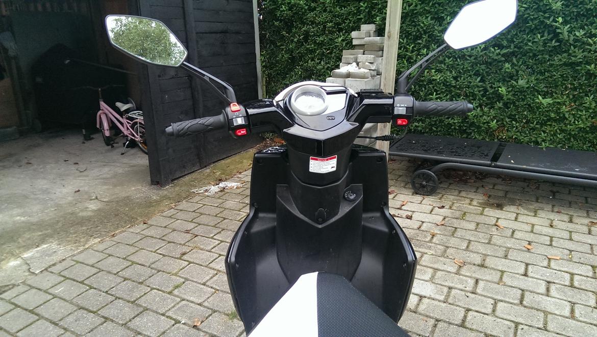 VGA Grido Italy billede 5