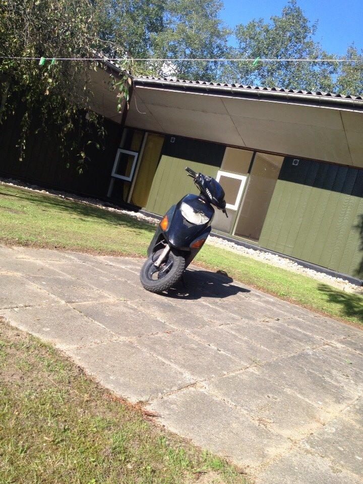 Honda Sfx "hverdags jern" billede 1