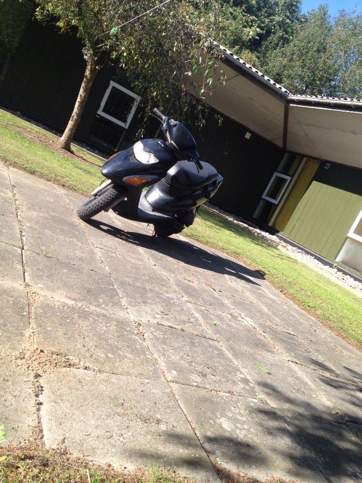 Honda Sfx "hverdags jern" billede 2