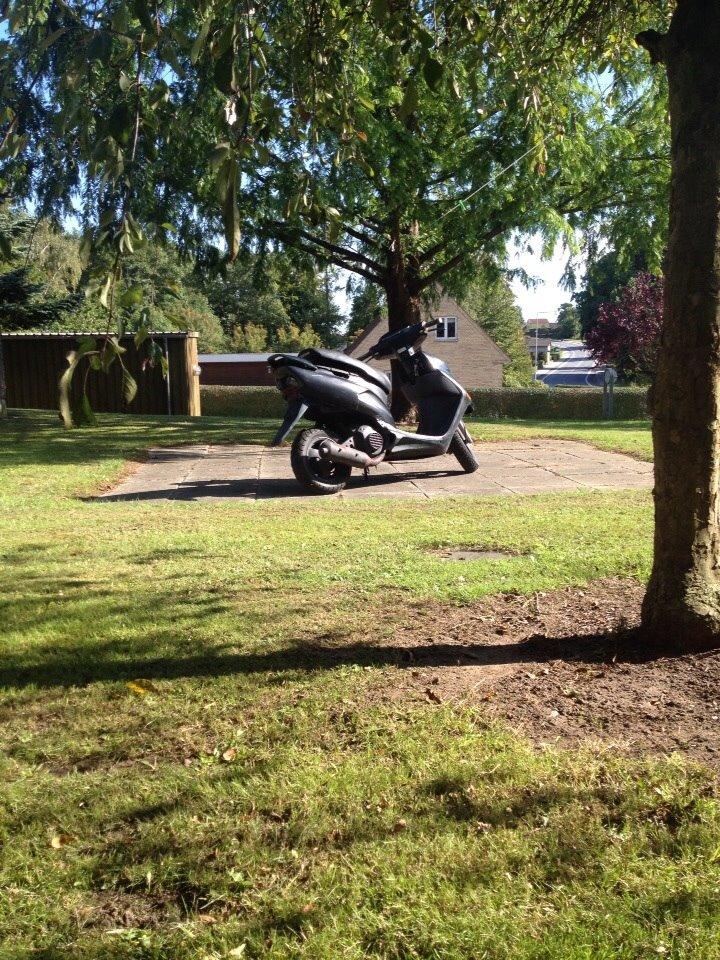 Honda Sfx "hverdags jern" billede 4