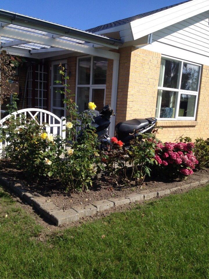 Honda Sfx "hverdags jern" billede 6