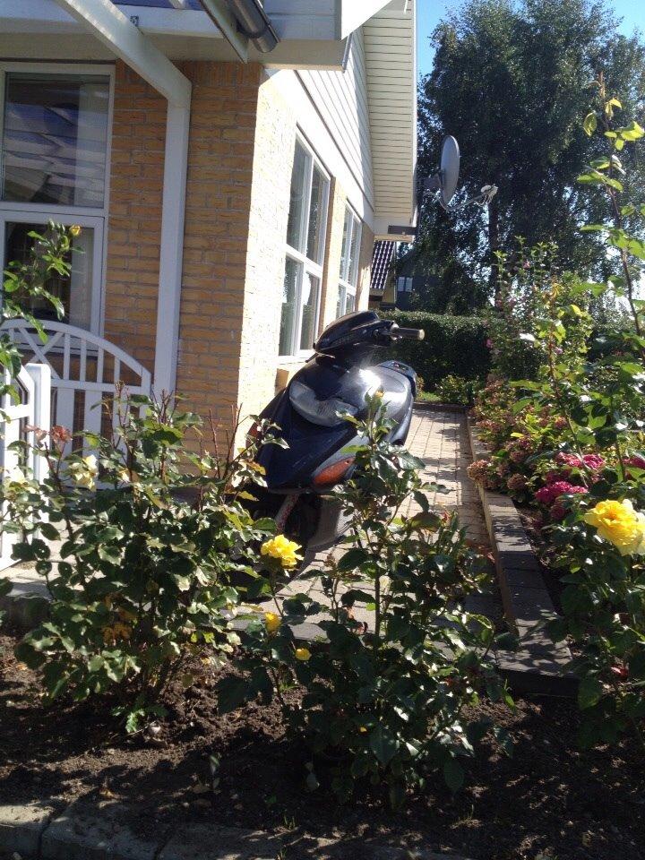 Honda Sfx "hverdags jern" billede 7