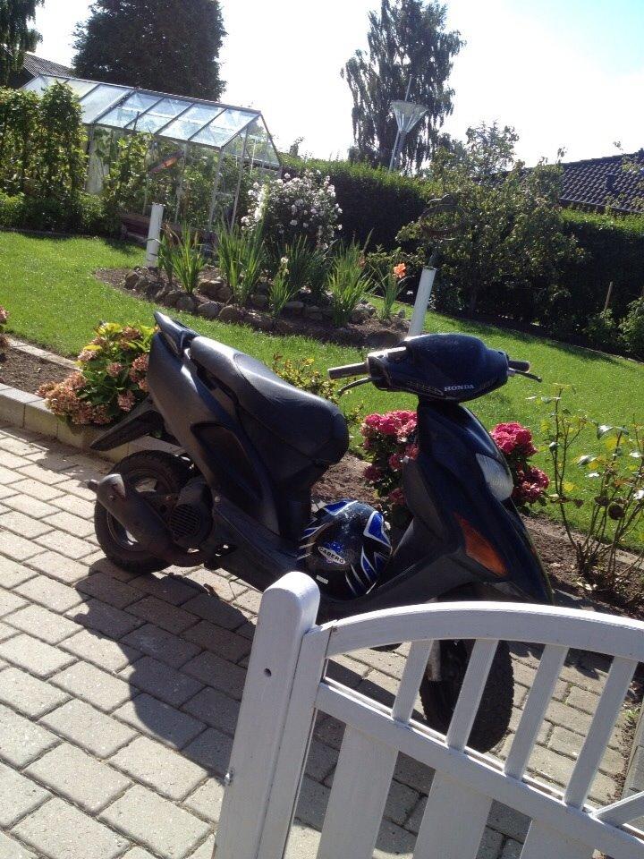 Honda Sfx "hverdags jern" billede 8