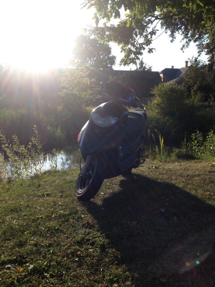 Honda Sfx "hverdags jern" billede 10