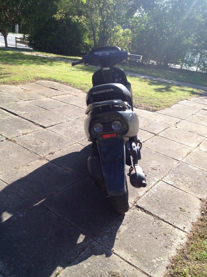 Honda Sfx "hverdags jern" billede 9