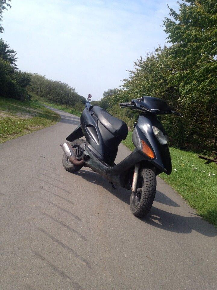 Honda Sfx "hverdags jern" billede 12