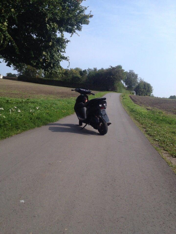 Honda Sfx "hverdags jern" billede 13