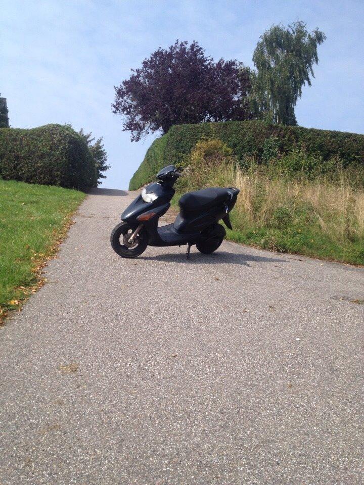 Honda Sfx "hverdags jern" billede 14