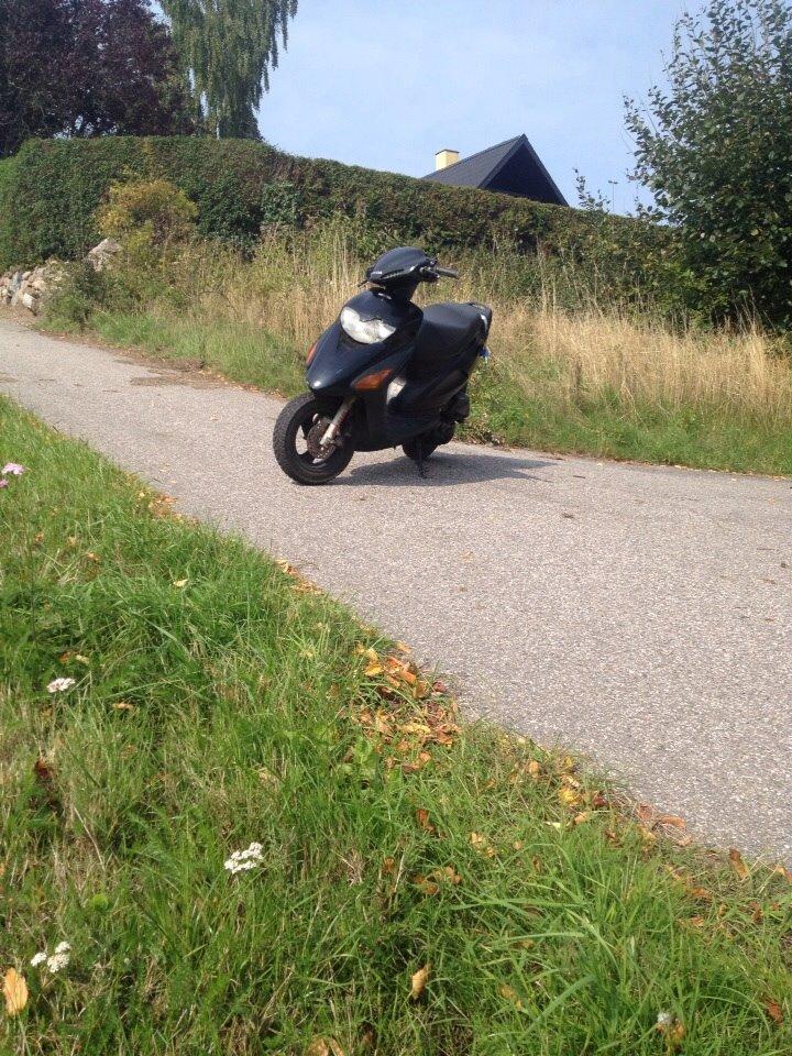 Honda Sfx "hverdags jern" billede 15