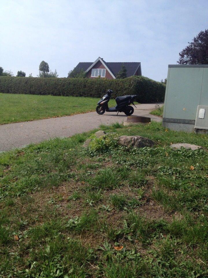 Honda Sfx "hverdags jern" billede 16