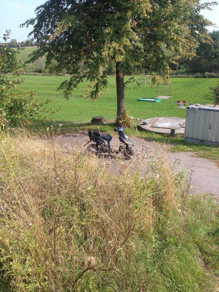 Honda Sfx "hverdags jern" billede 17